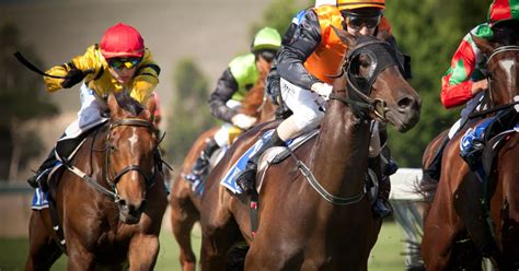 golden gates stakes trends